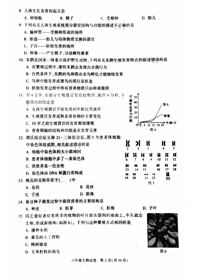 北京市顺义区2023-2024学年八年级上学期期末考试生物试卷02