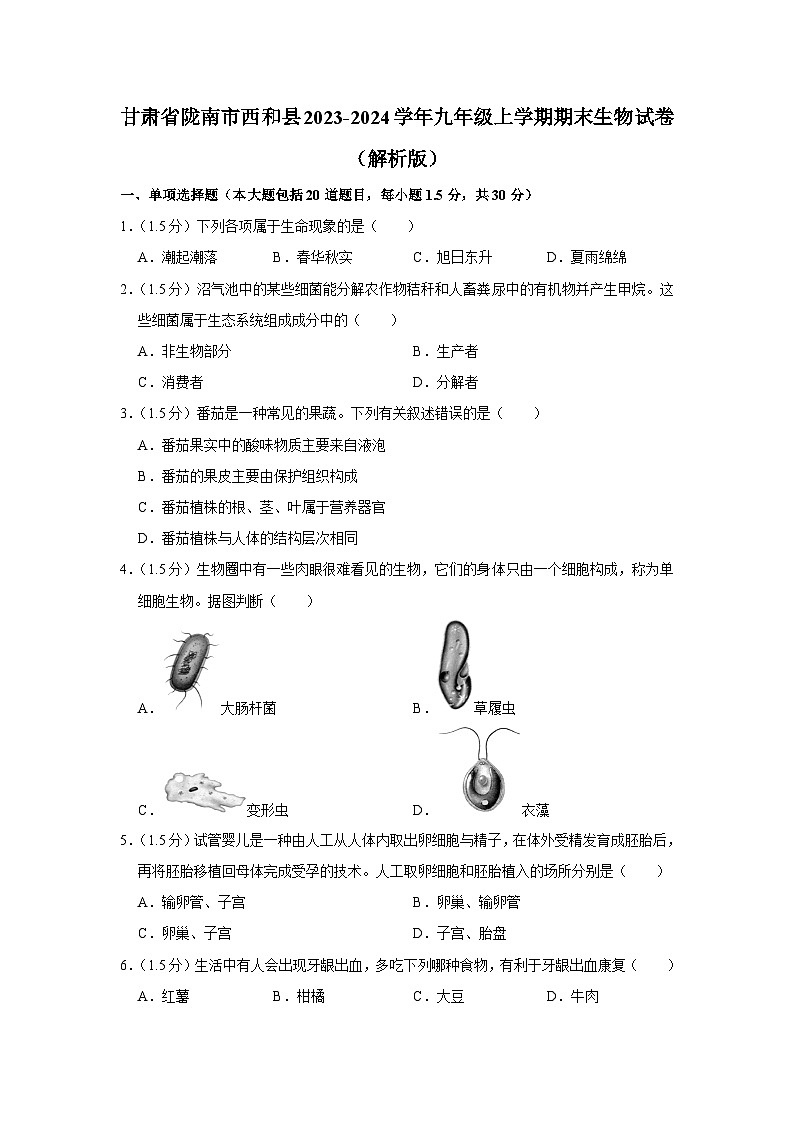 甘肃省陇南市西和县2023-2024学年九年级上学期期末生物试卷01