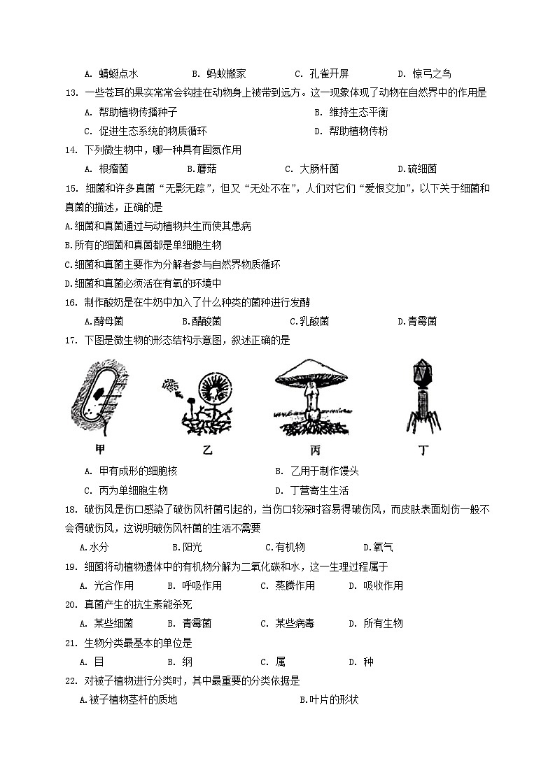 广东省江门市恩平市2020-2021学年八年级上学期期末考试生物试题02