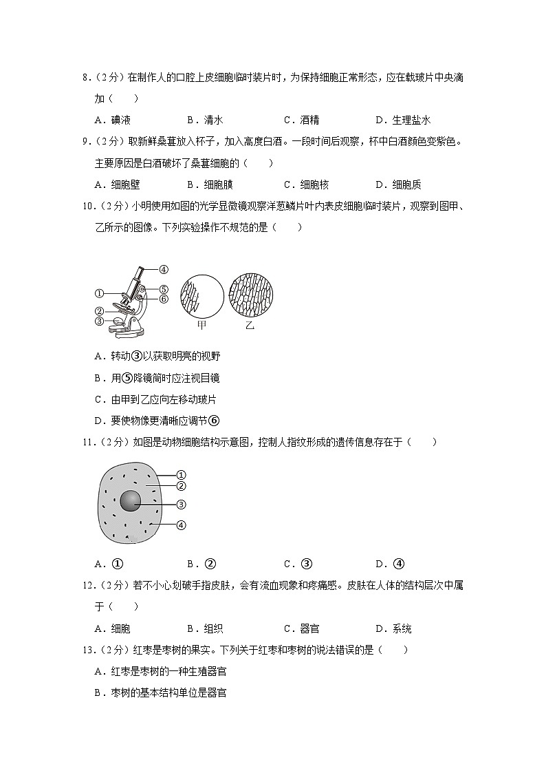 广东省中山市2023-2024学年七年级上学期期末生物试卷02