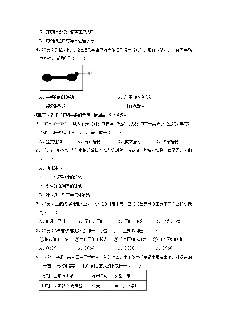 广东省中山市2023-2024学年七年级上学期期末生物试卷03