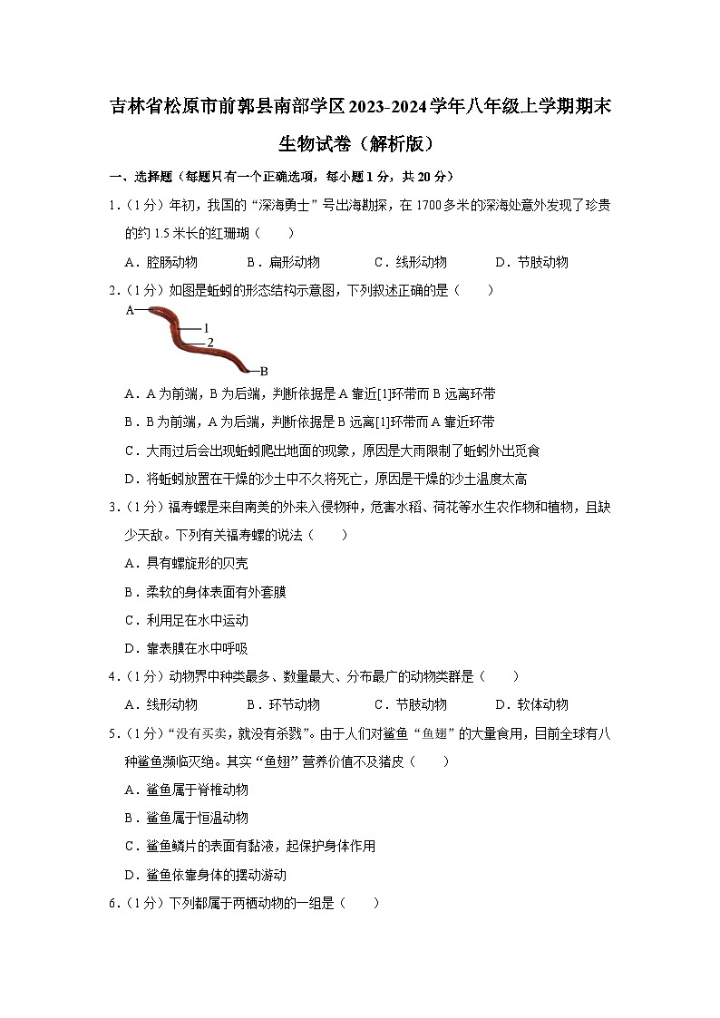吉林省松原市前郭县南部学区2023-2024学年八年级上学期期末生物试卷01