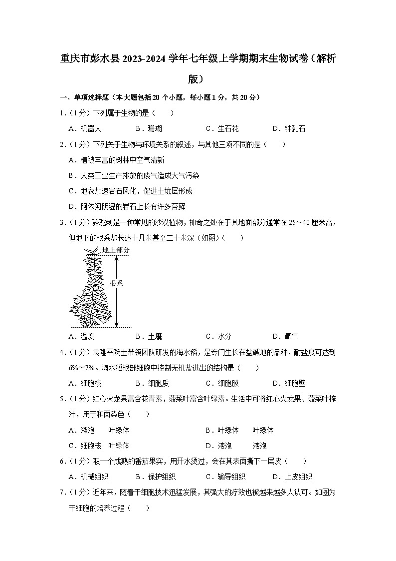 重庆市彭水县2023-2024学年七年级上学期期末生物试卷01