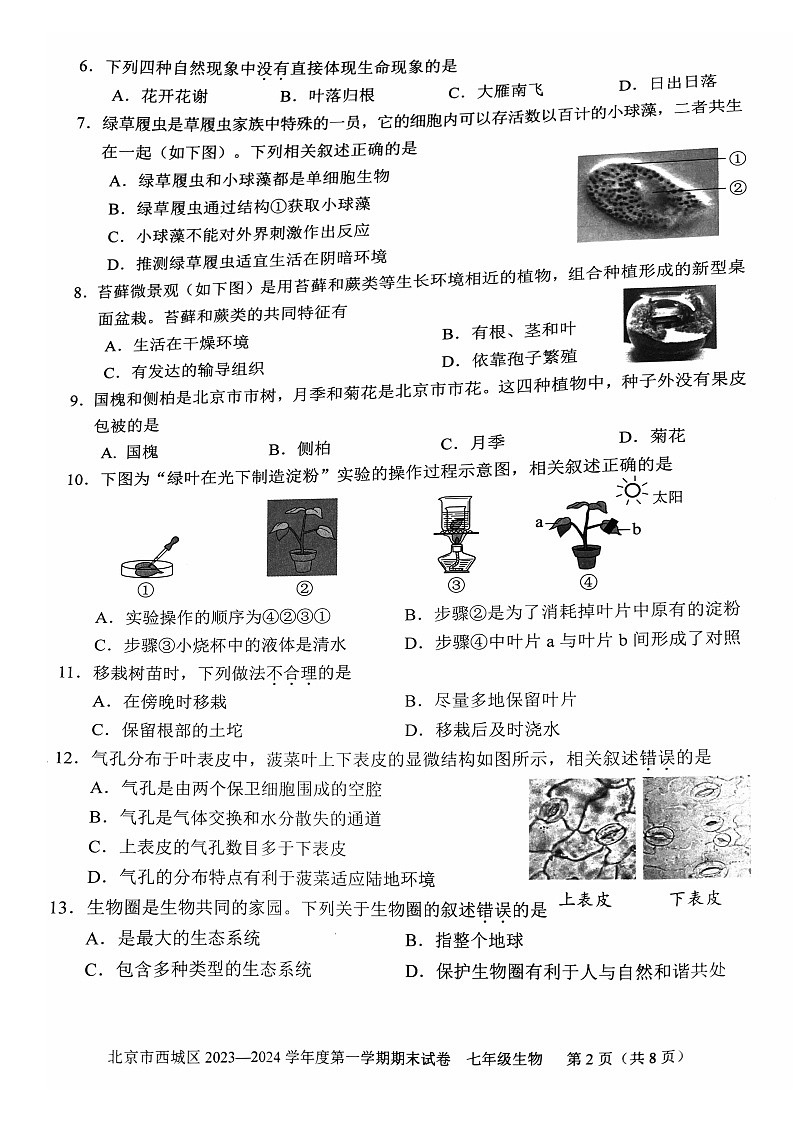 2024北京西城初一上期末生物试卷含答案第2页