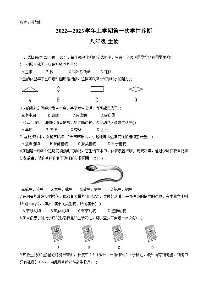 河南省洛阳市嵩县2022-2023学年八年级上学期第一次学情诊断卷生物试题第1页