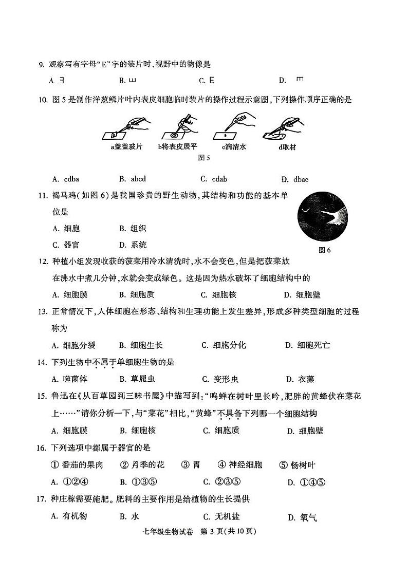 北京市顺义区2023-2024学年七年级上学期期末生物试题第3页