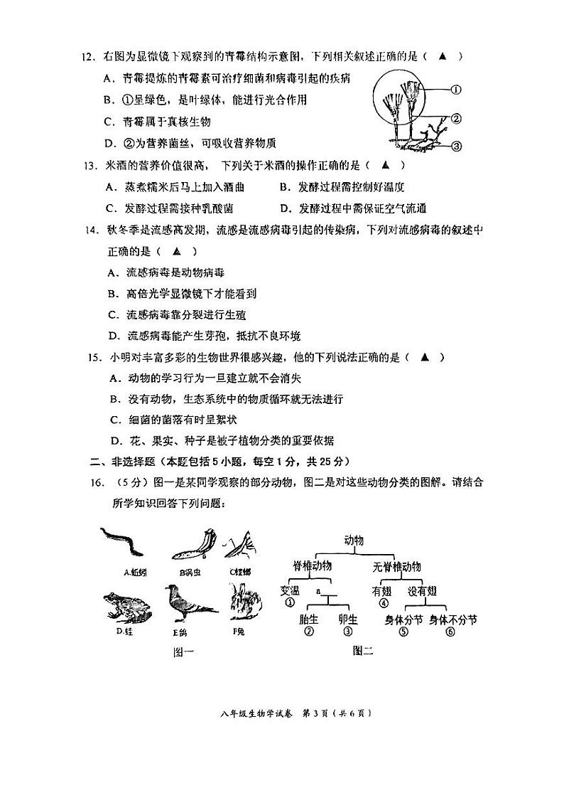 辽宁省葫芦岛市兴城中学2023-2024学年八年级上学期期末考试生物试卷第3页