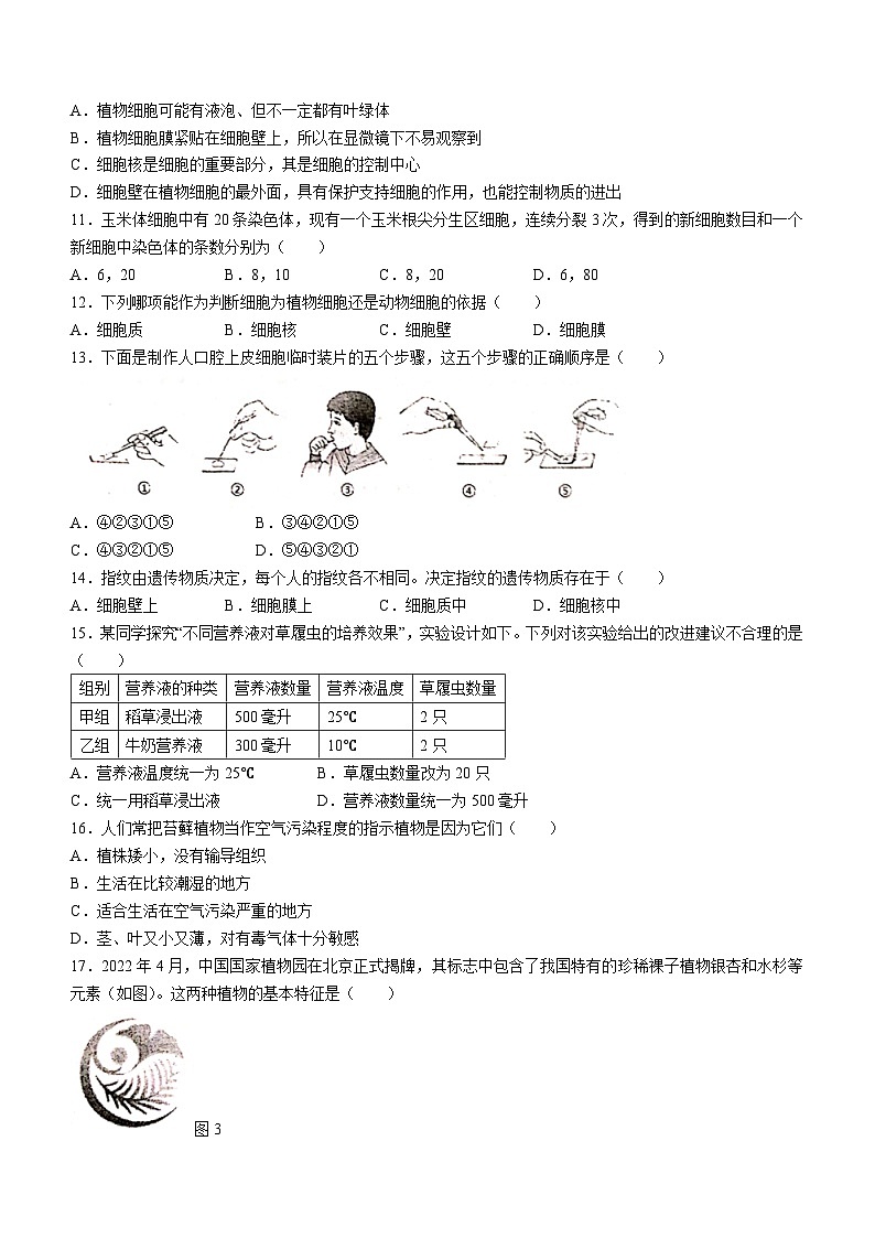 广东省深圳市高级中学2023-2024学年七年级上学期期末生物试题(无答案)第3页