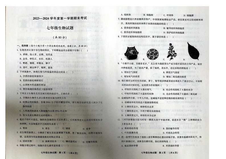 河北省廊坊市三河市2023-2024学年七年级上学期期末生物试题01