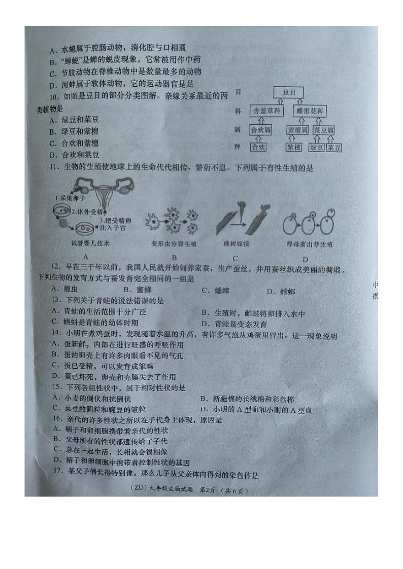 甘肃省陇南市宕昌县部分校联考2023-2024学年九年级上学期期末考试生物试题02