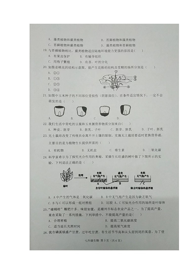 广东省潮州市潮安区2023-2024学年七年级上学期期末生物试题第3页