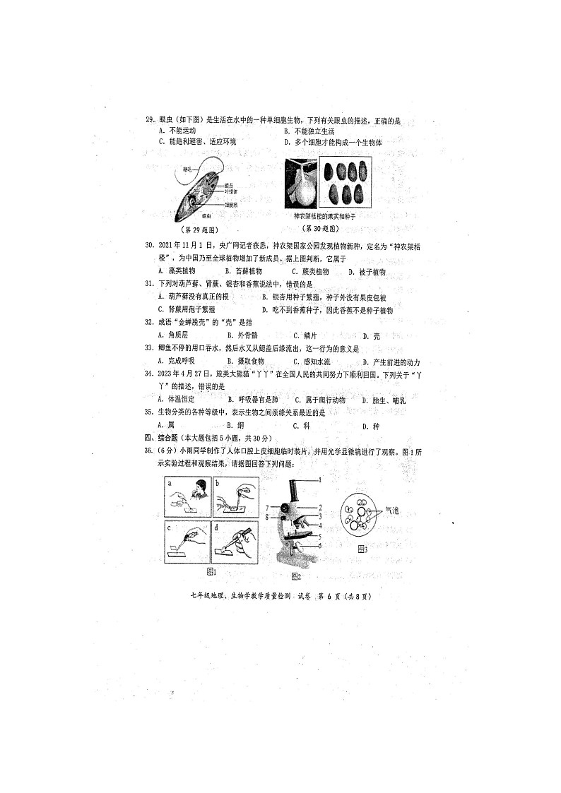 广西防城港市2023-2024学年七年级上学期期末生物试题02