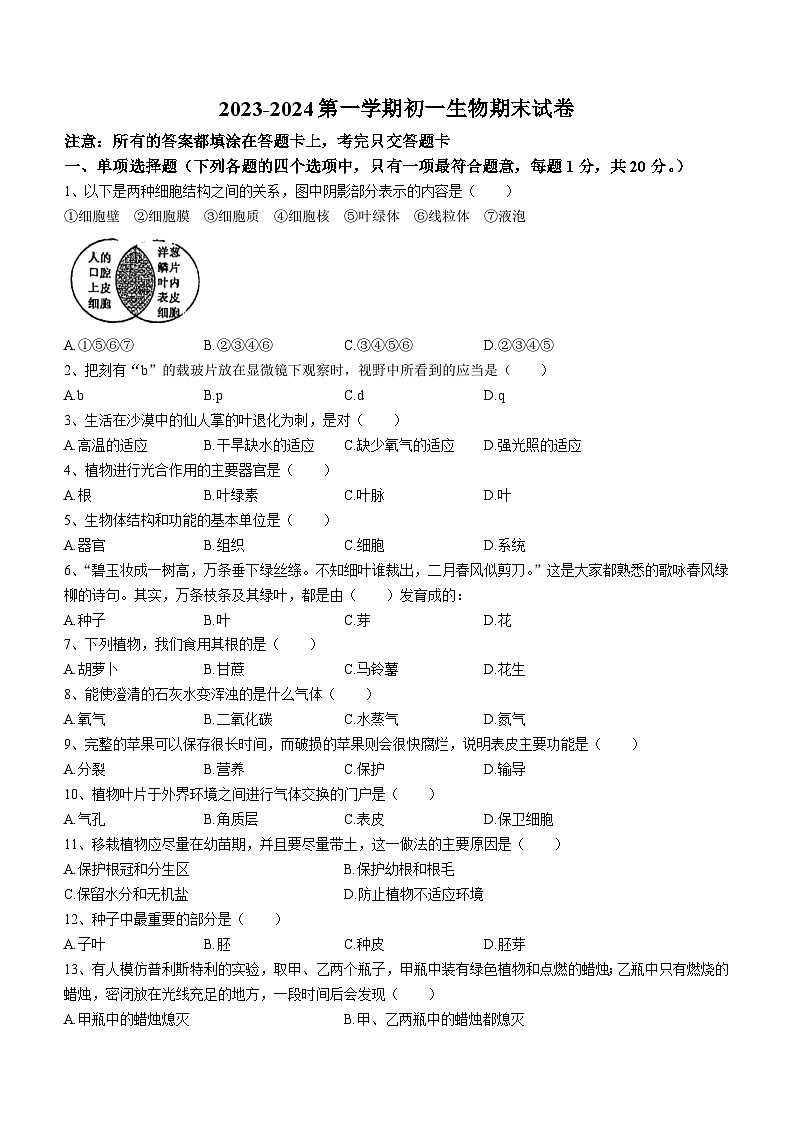 江苏省南京市玄武区2023-2024学年七年级上学期期末生物试题(无答案)01