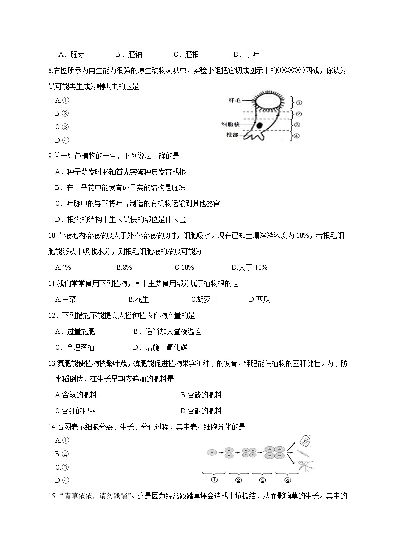 江苏省盐城市盐都区实验初中2023--2024学年七年级上学期生物期末模拟考试试题02