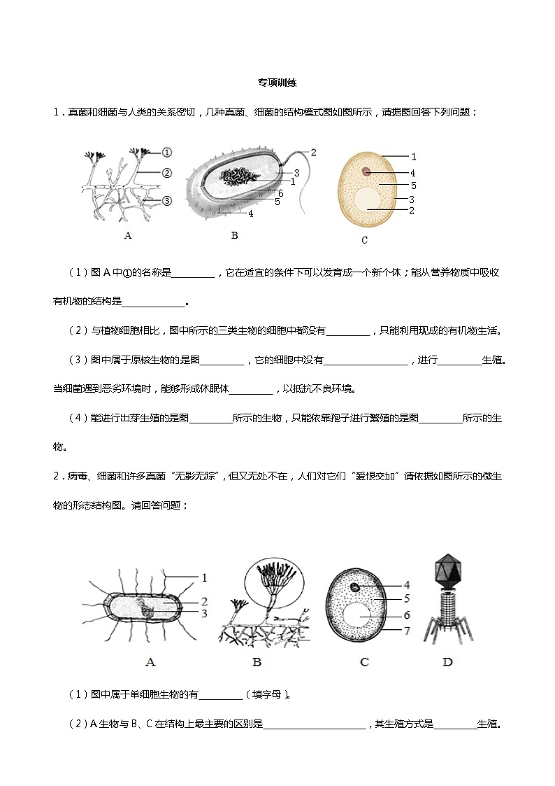人教版2023-2024学年八年级生物（上册）期末专项训练：读图理解题C卷（附答案）第1页