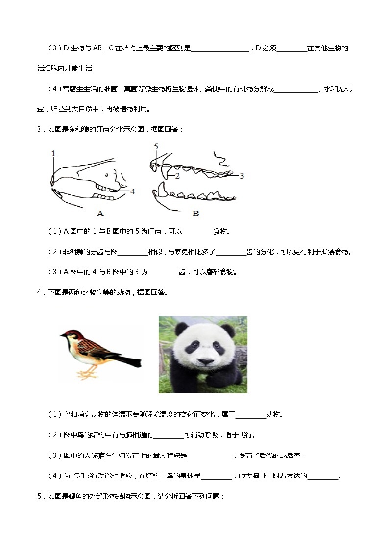 人教版2023-2024学年八年级生物（上册）期末专项训练：读图理解题C卷（附答案）第2页