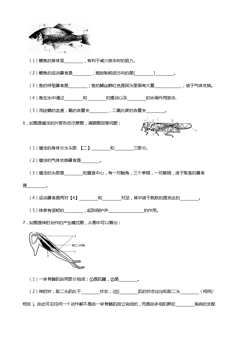 人教版2023-2024学年八年级生物（上册）期末专项训练：读图理解题C卷（附答案）第3页