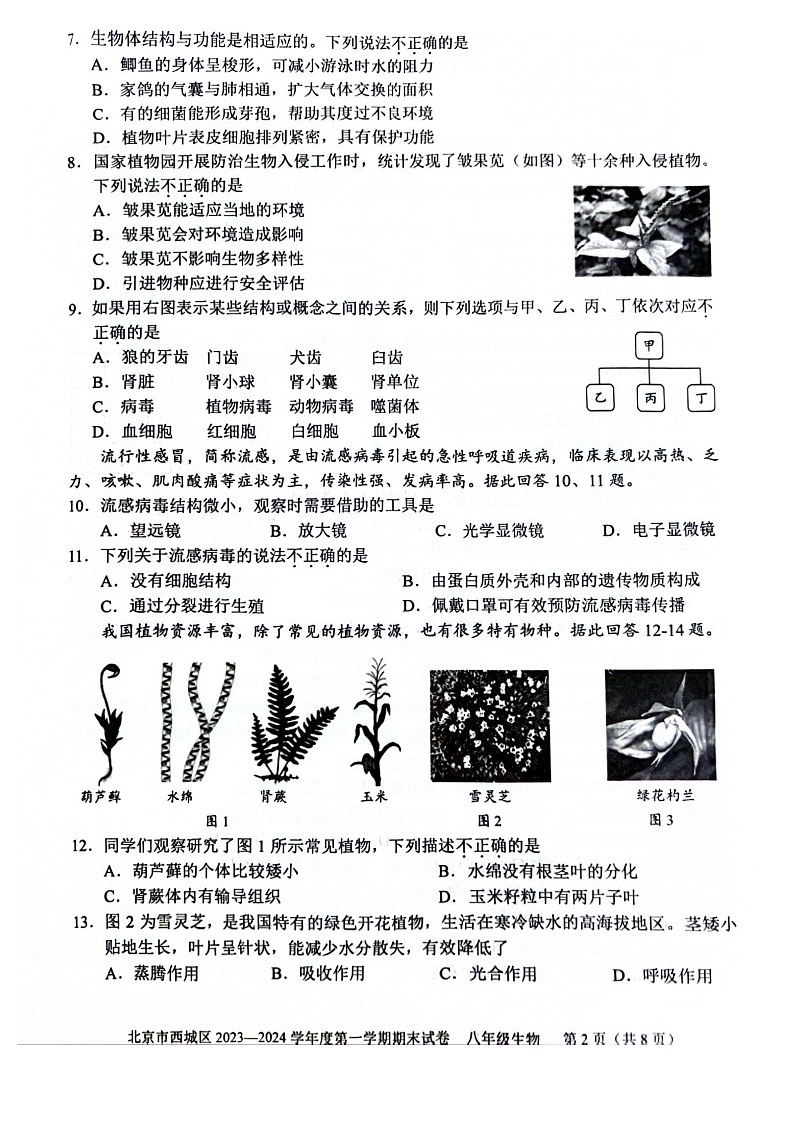 2024北京西城初二上期末生物试卷和答案02
