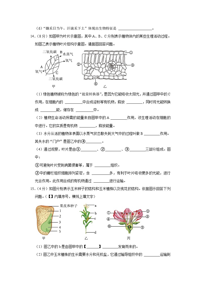 辽宁省大连市庄河市2023-2024学年七年级上学期期末生物试卷03