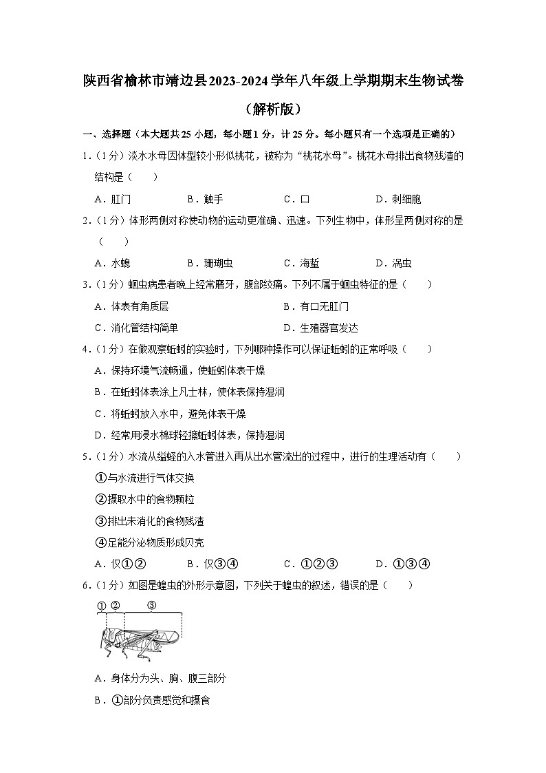 陕西省榆林市靖边县2023-2024学年八年级上学期期末生物试卷+01