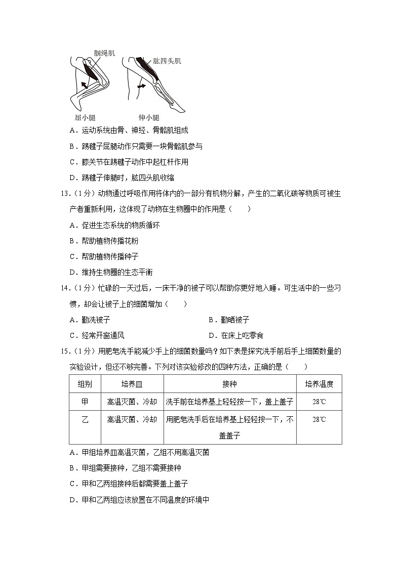 陕西省榆林市靖边县2023-2024学年八年级上学期期末生物试卷+03
