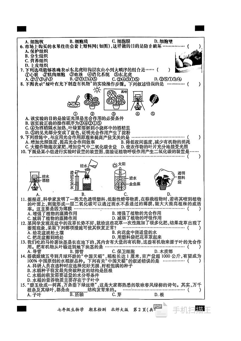 河南省开封市通许县2023-2024学年七年级上学期期末生物试题02