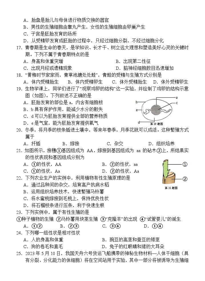 广东省惠州市博罗县2023-2024学年八年级上学期期末考试生物试题03