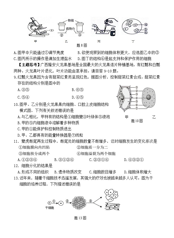 广东省惠州市博罗县2023-2024学年七年级上学期期末考试生物试题02