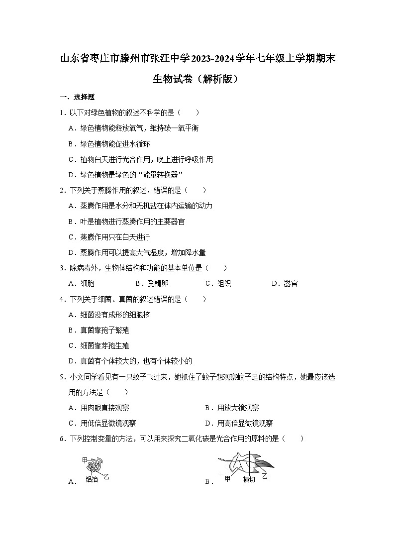 山东省枣庄市滕州市张汪中学2023-2024学年七年级上学期期末生物试卷+第1页