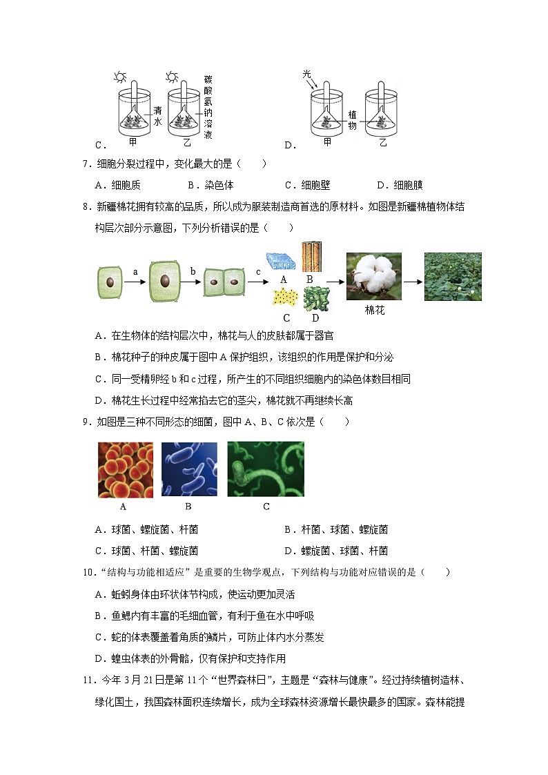山东省枣庄市滕州市张汪中学2023-2024学年七年级上学期期末生物试卷+第2页