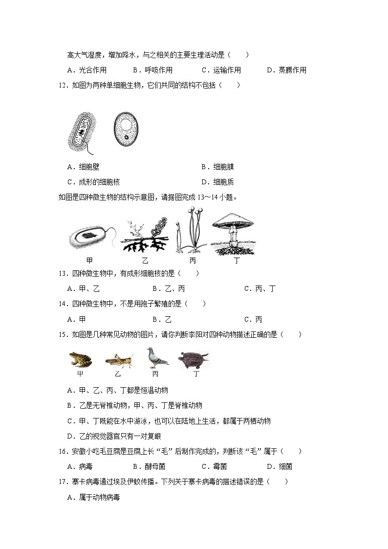 山东省枣庄市滕州市张汪中学2023-2024学年七年级上学期期末生物试卷+第3页