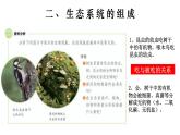 1.2.2 生物与环境组成生态系统-【新课标】2023-2024学年七年级生物上册精选课件（人教版）