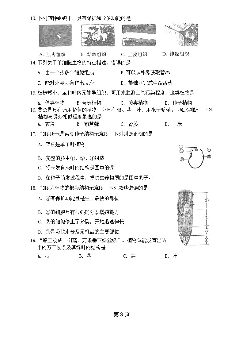 北京市东城区2023-2024学年七年级上学期期末生物试卷03