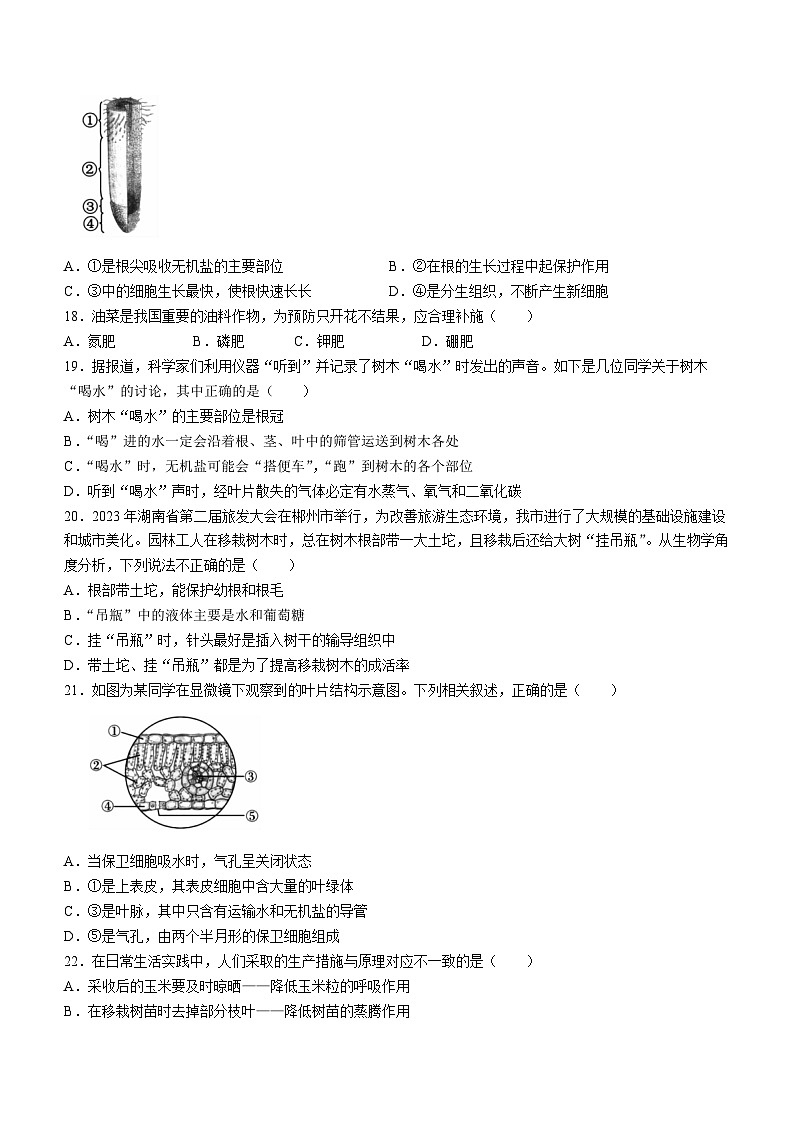湖南省郴州市2023-2024学年七年级上学期期末考试生物试题第3页
