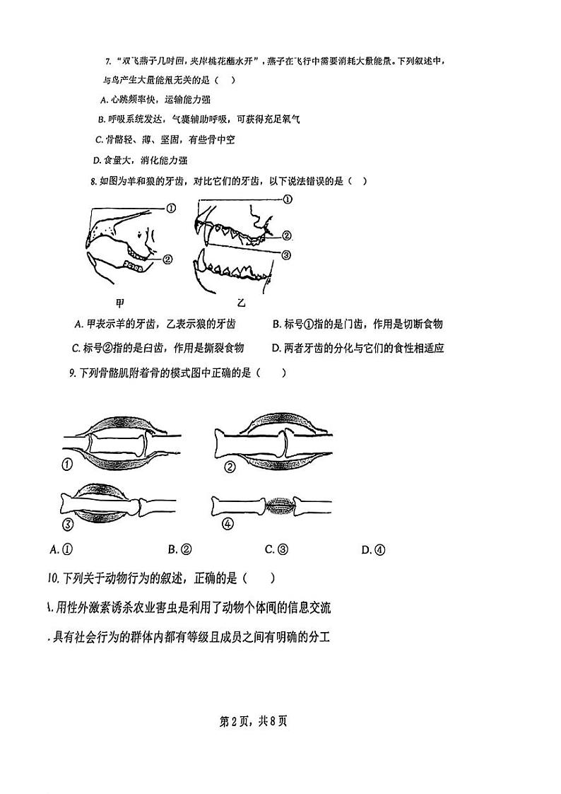 天津市耀华中学2023-2024学年八年级上学期期末质量调查生物试卷02