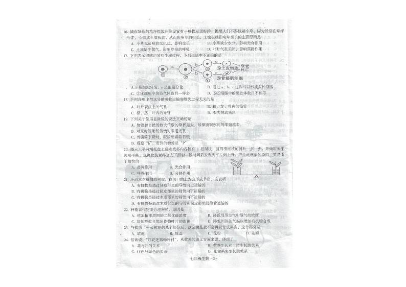 广东省梅州市大埔县2023-2024学年七年级上学期期末生物试题03