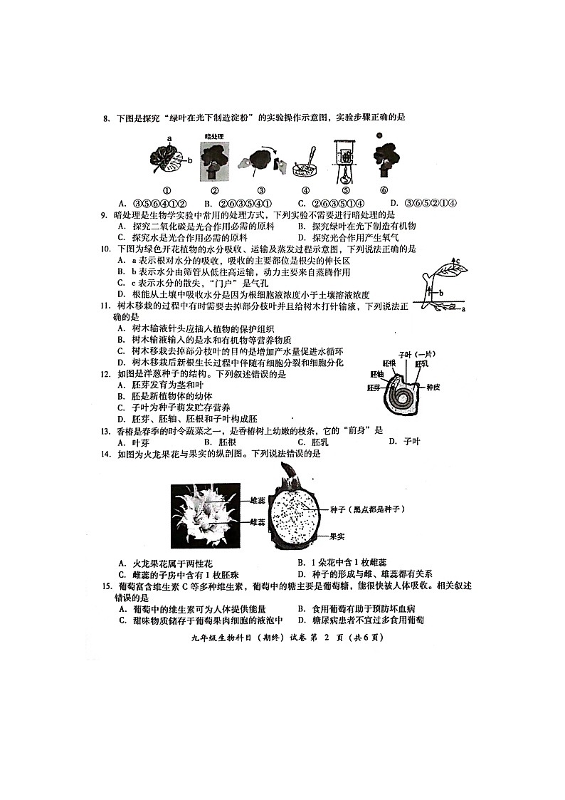 广东省揭阳市榕城区2023-2024学年九年级上学期期末考试生物试题02