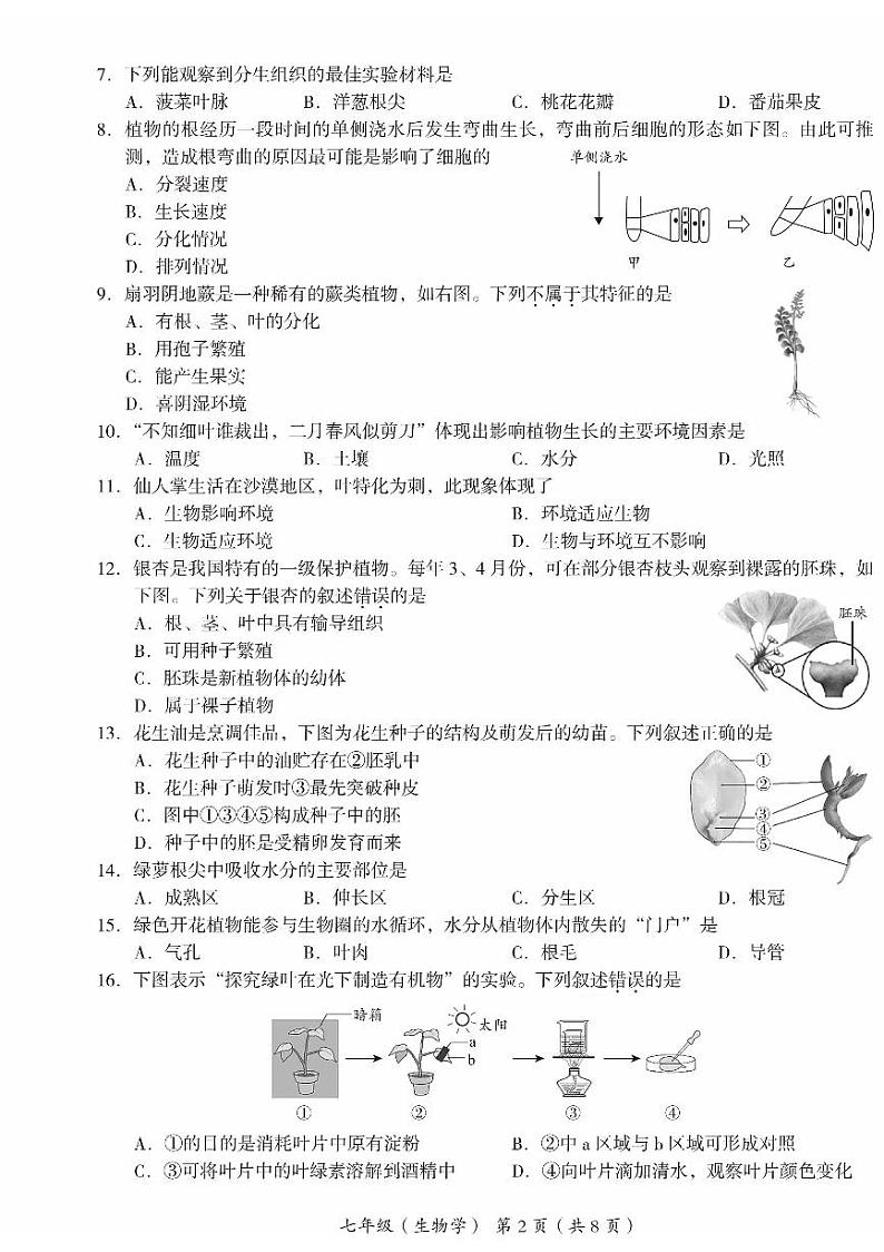 2024海淀初一(上)期末生物试卷和答案第2页