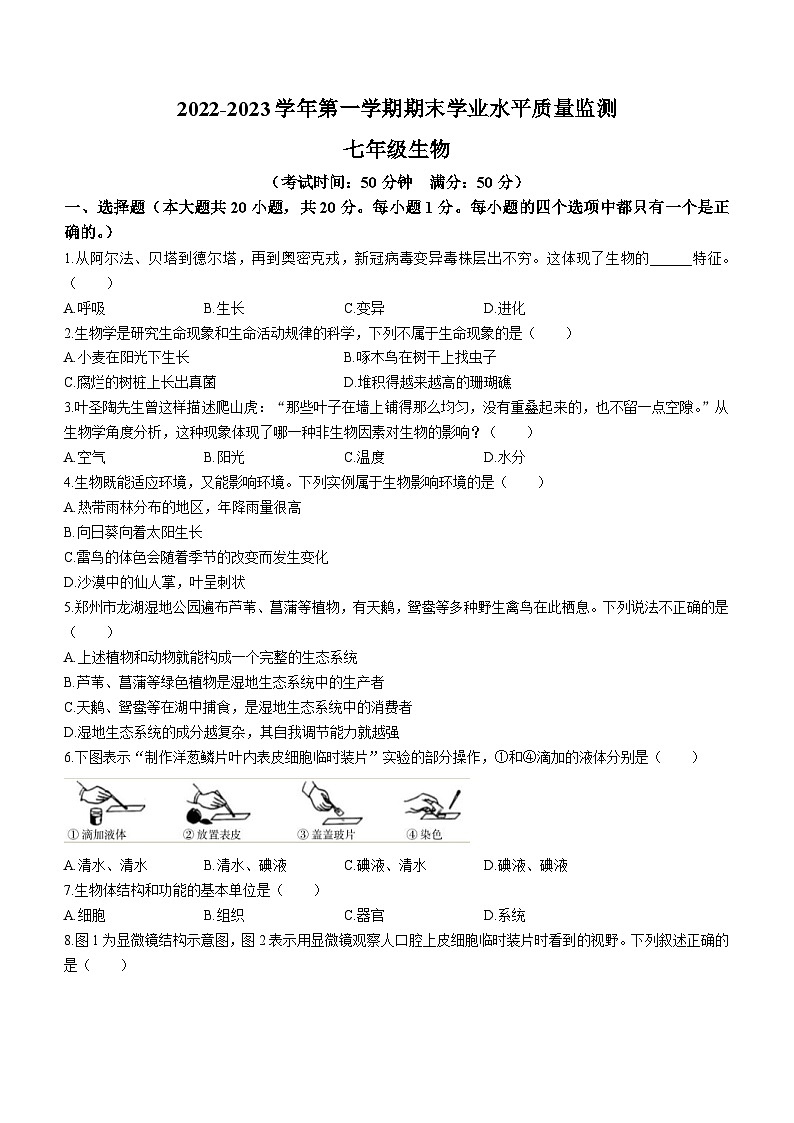 河南省开封市区2022-2023学年七年级上学期期末学业水平质量监测生物试题01