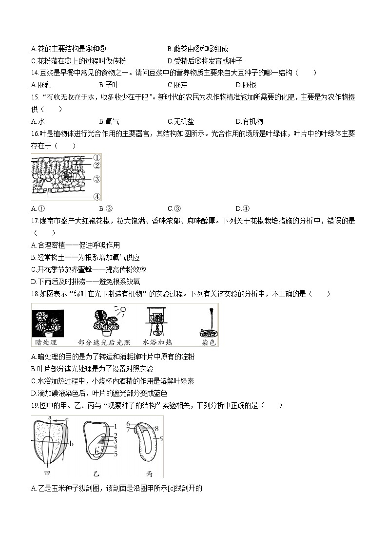 河南省开封市区2022-2023学年七年级上学期期末学业水平质量监测生物试题03