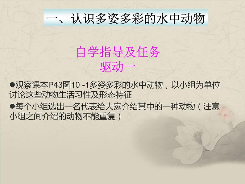 10.1水中的动物课件2022--2023学年苏科版生物七年级下册第5页