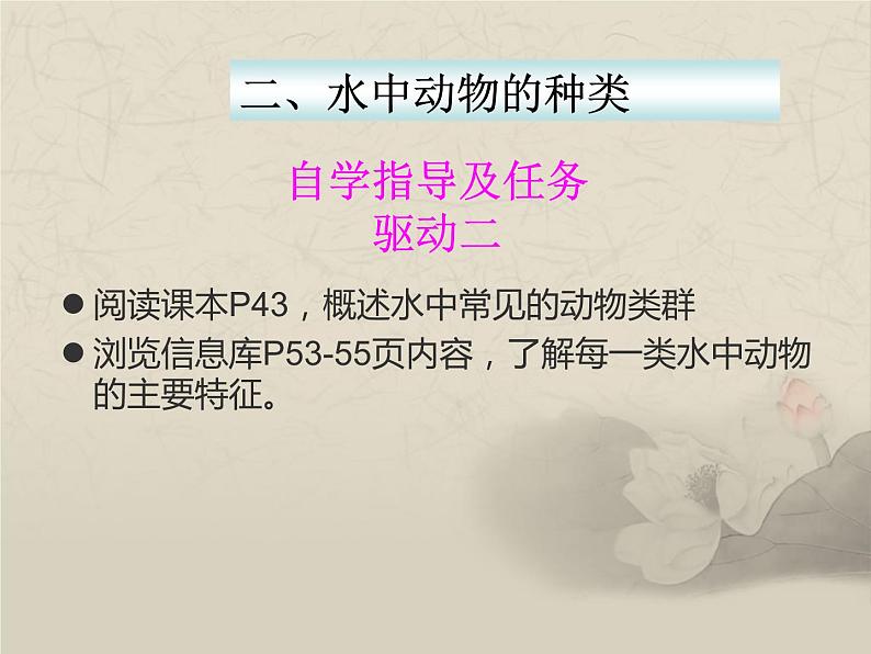 10.1水中的动物课件2022--2023学年苏科版生物七年级下册第6页