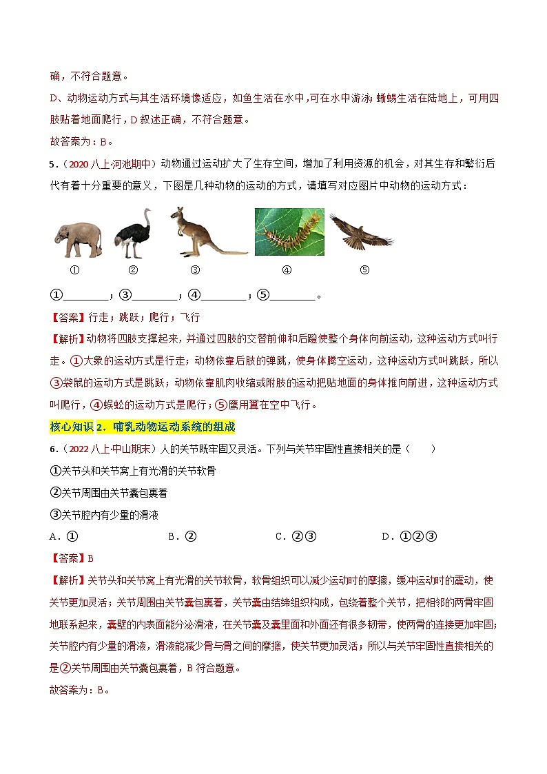 【全套精品专题】中考生物复习专题精讲第二、三章 动物的运动和行为及动物在生物圈中的作用（A卷·知识通关练）（解析版）第3页
