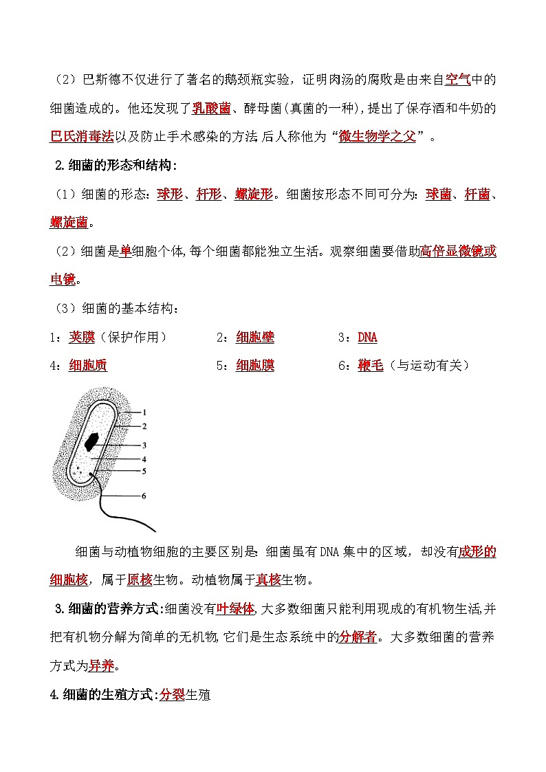 【全套精品专题】中考生物复习专题精讲 5.4.2 细菌-课后培优分级练（人教版）（解析版）02