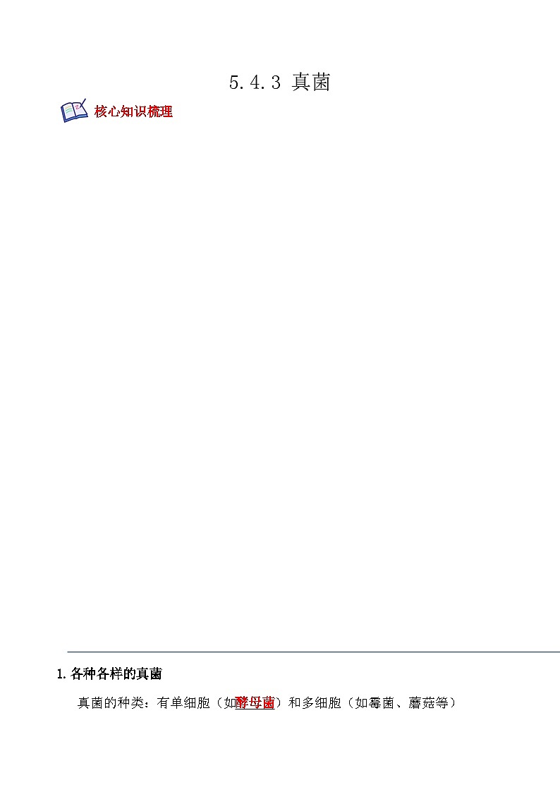 【全套精品专题】中考生物复习专题精讲 5.4.3 真菌-课后培优分级练（人教版）（解析版）01