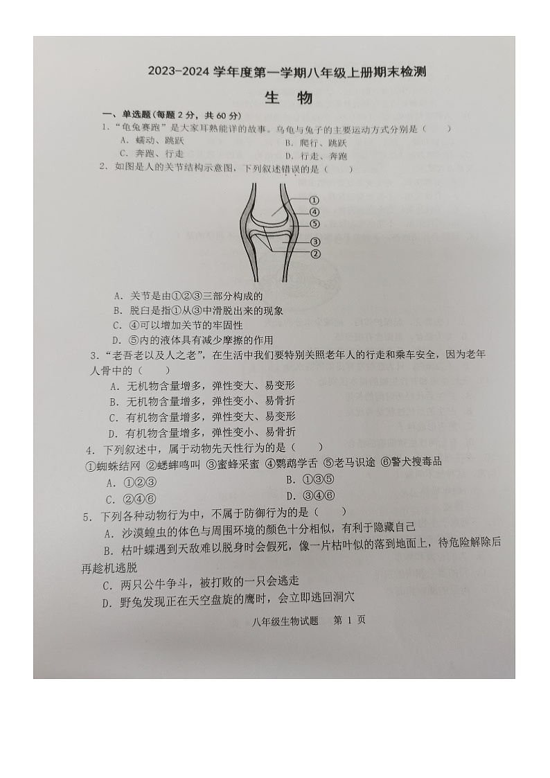 广东省梅州市梅县区2023-2024学年八年级上学期期末生物试题01