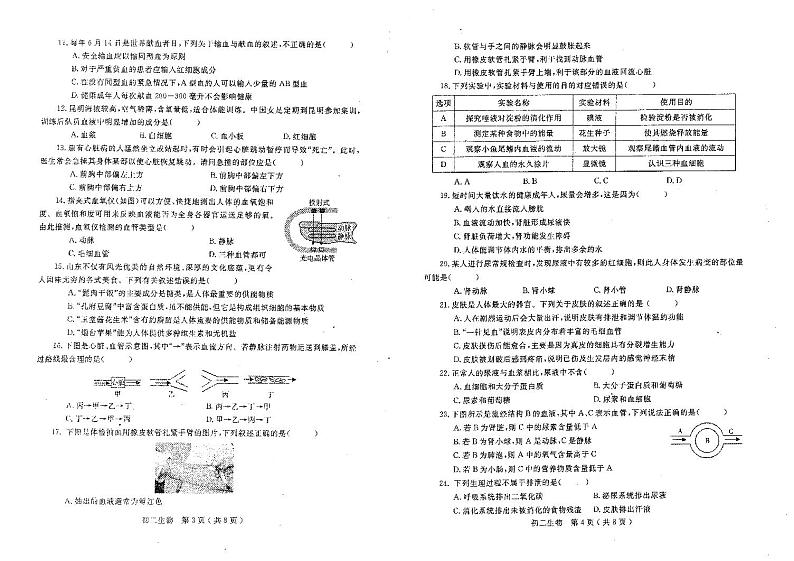 山东省烟台市莱州市2023-2024学年七年级上学期期末生物试题02