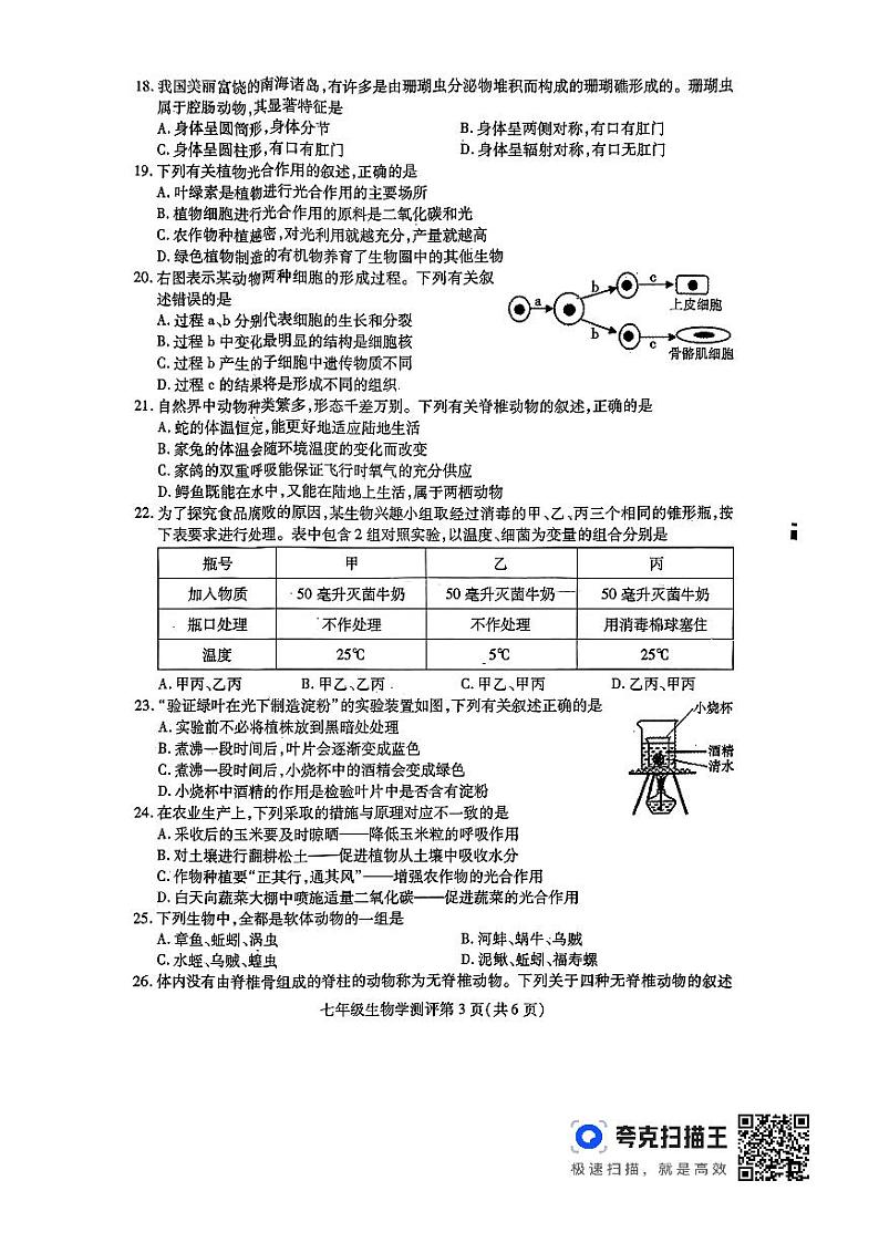 四川省内江市东兴区2023-2024学年七年级上学期期末生物试题第3页