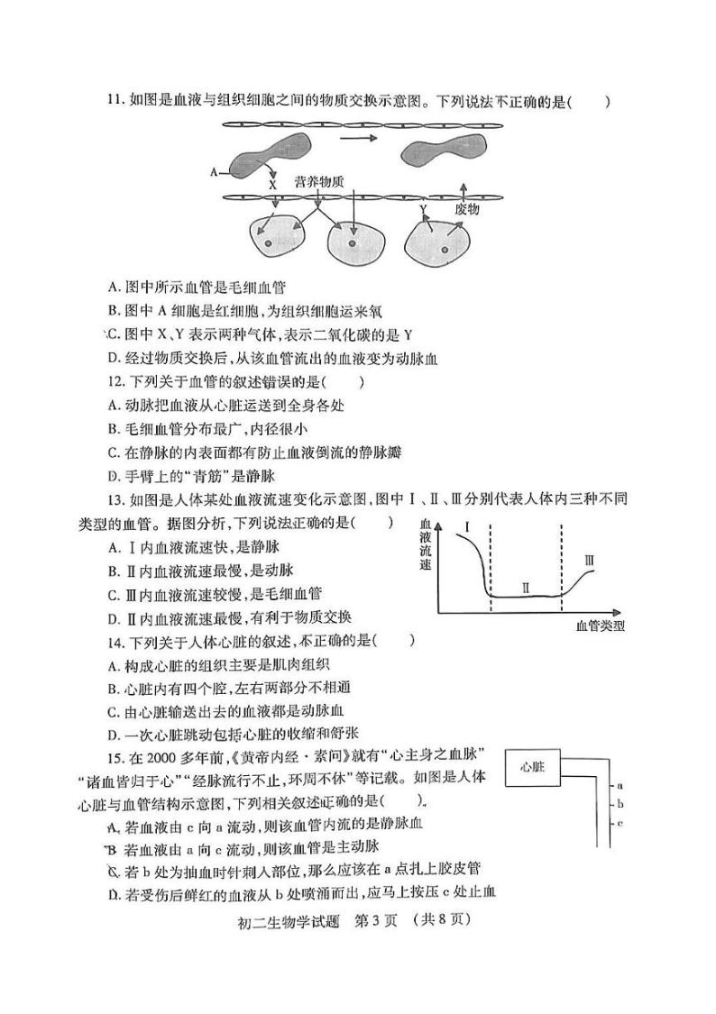 山东省济宁市任城区2023-2024学年七年级上学期期末生物试题03