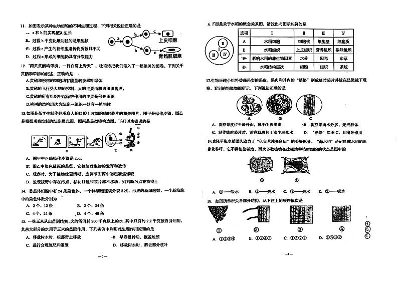 山东省青岛市市北区2023-2024学年七年级上学期期末生物试题02